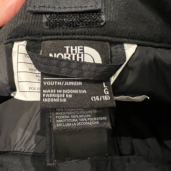 The North Face Snowpants - Picture 3 of 8